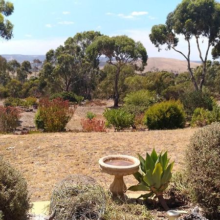 Austiny Bed And Breakfast Victor Harbor Exterior foto