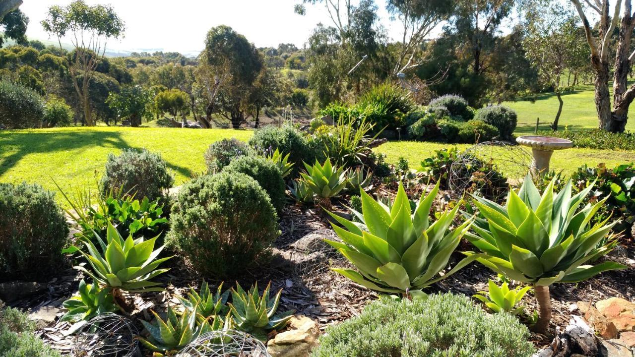 Austiny Bed And Breakfast Victor Harbor Exterior foto