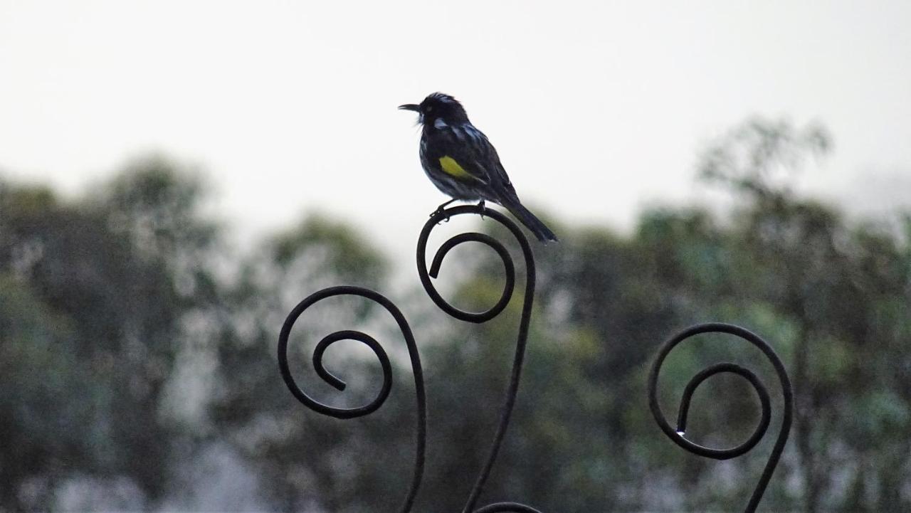 Austiny Bed And Breakfast Victor Harbor Exterior foto
