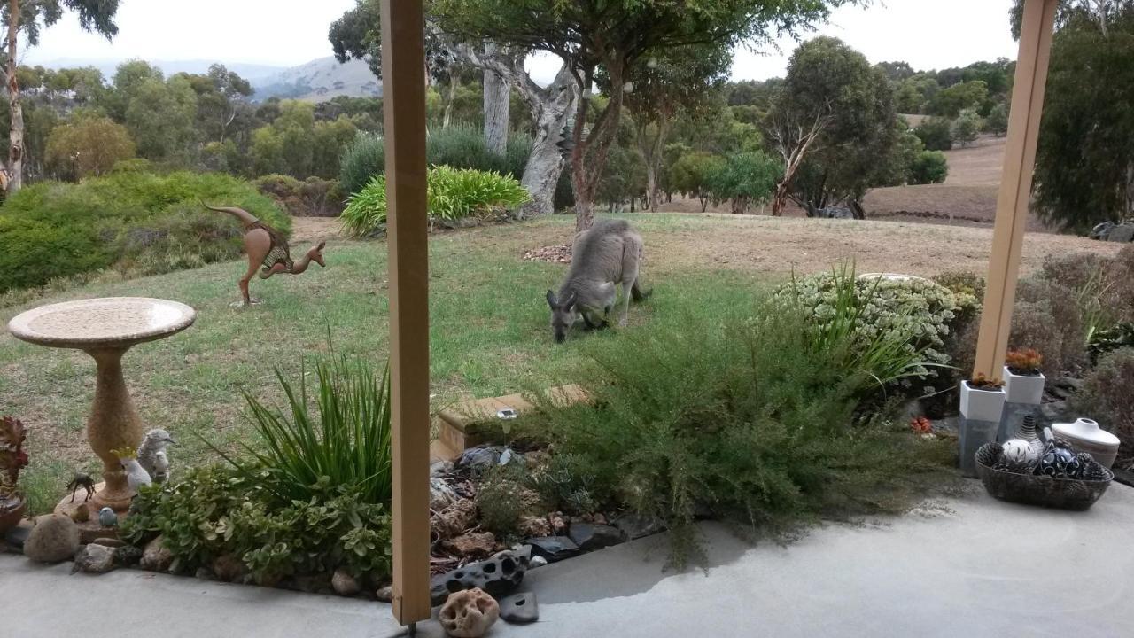 Austiny Bed And Breakfast Victor Harbor Exterior foto